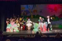 seussical12063090_small.jpg