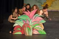 seussical120603981_small.jpg