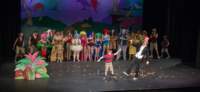 seussical120604163_small.jpg