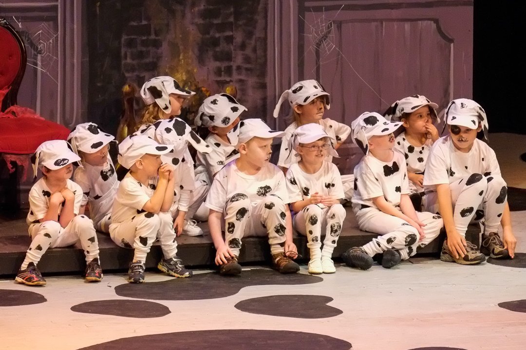 dalmatians13080741.jpg