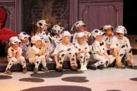 dalmatians13080741_small.jpg