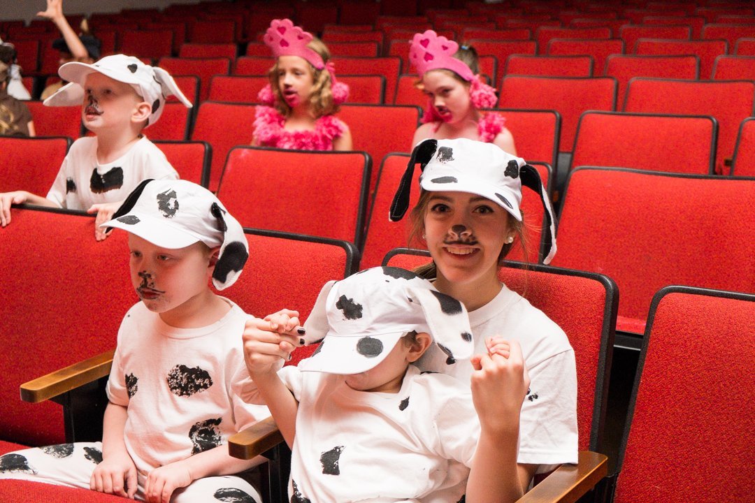 dalmatians13087926.jpg