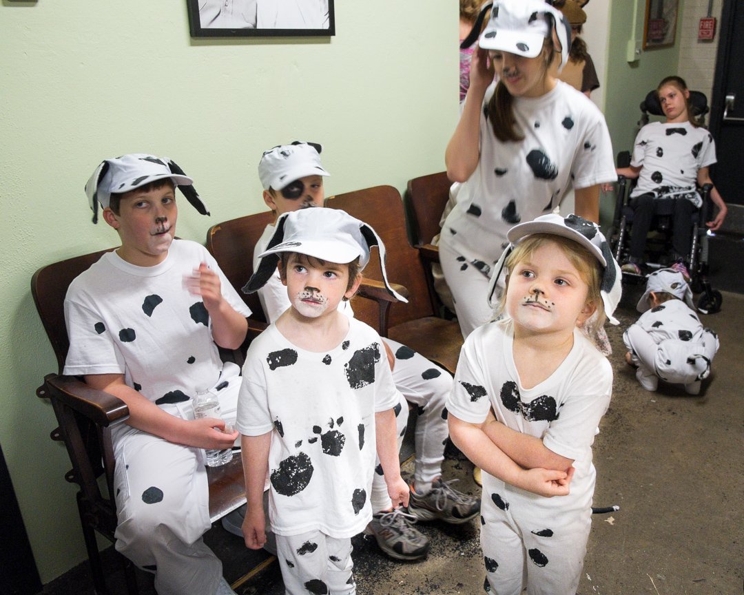 dalmatians13087961.jpg