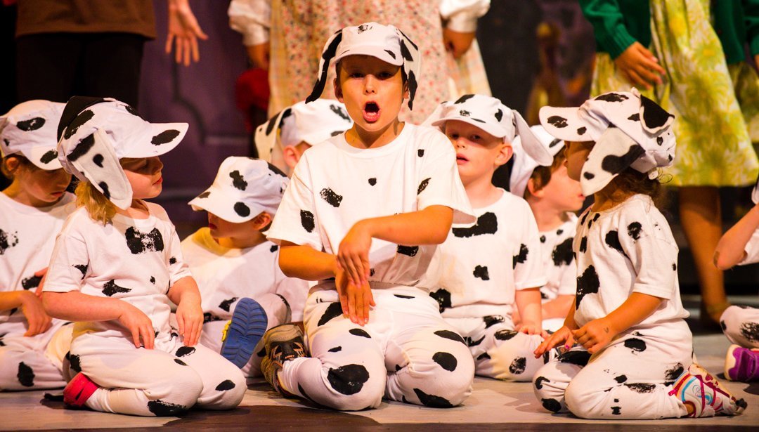 dalmatians130804941.jpg