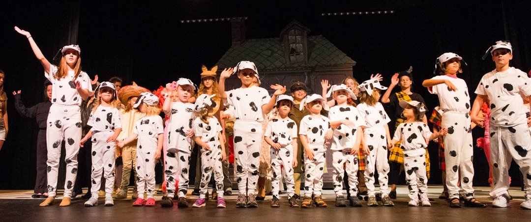 dalmatians13087902.jpg