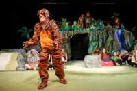 junglebook15062707_small.jpg