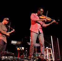 blackviolin16043334_small.jpg