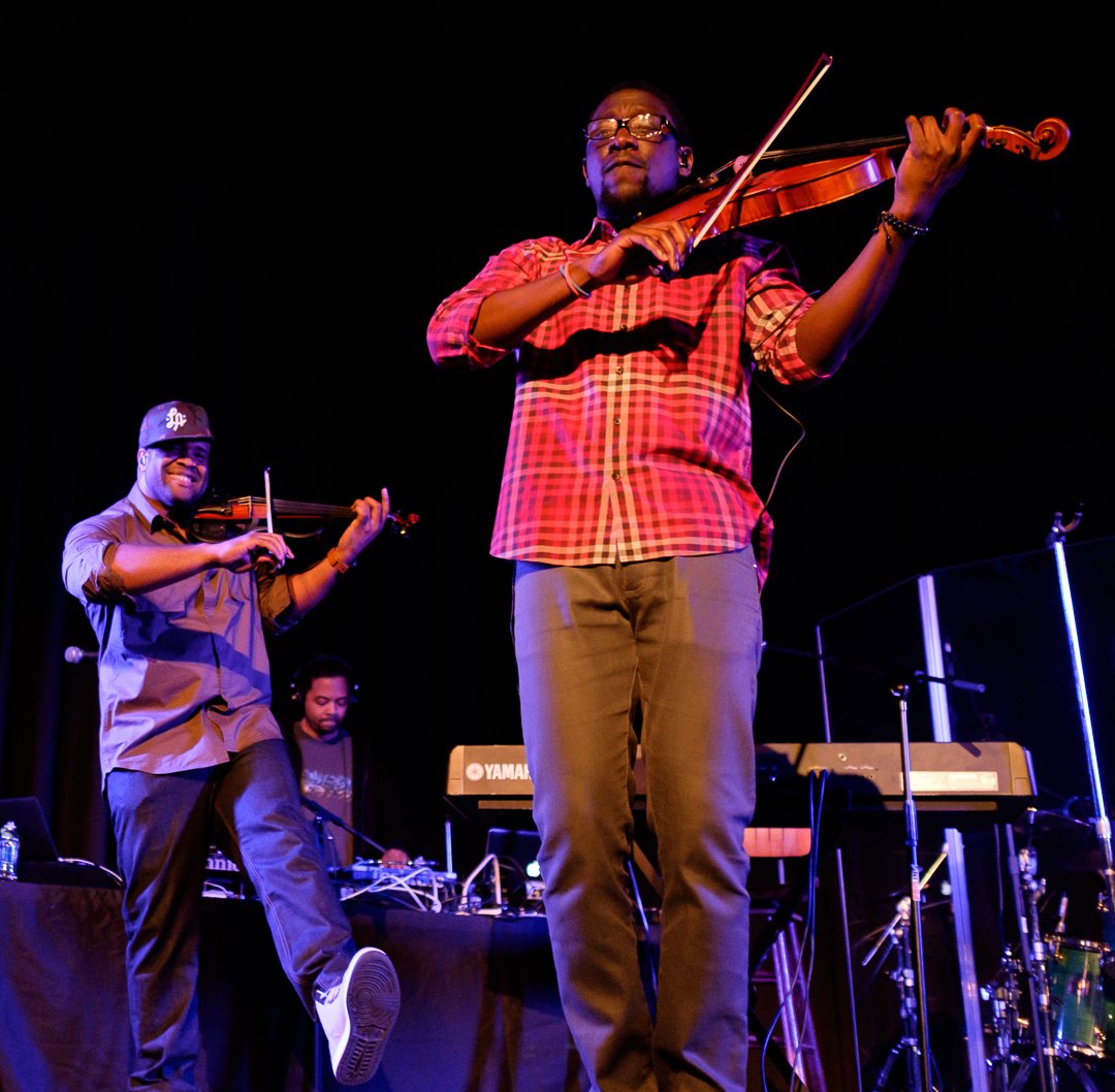 blackviolin16043434.jpg