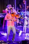 blackviolin16043944_small.jpg