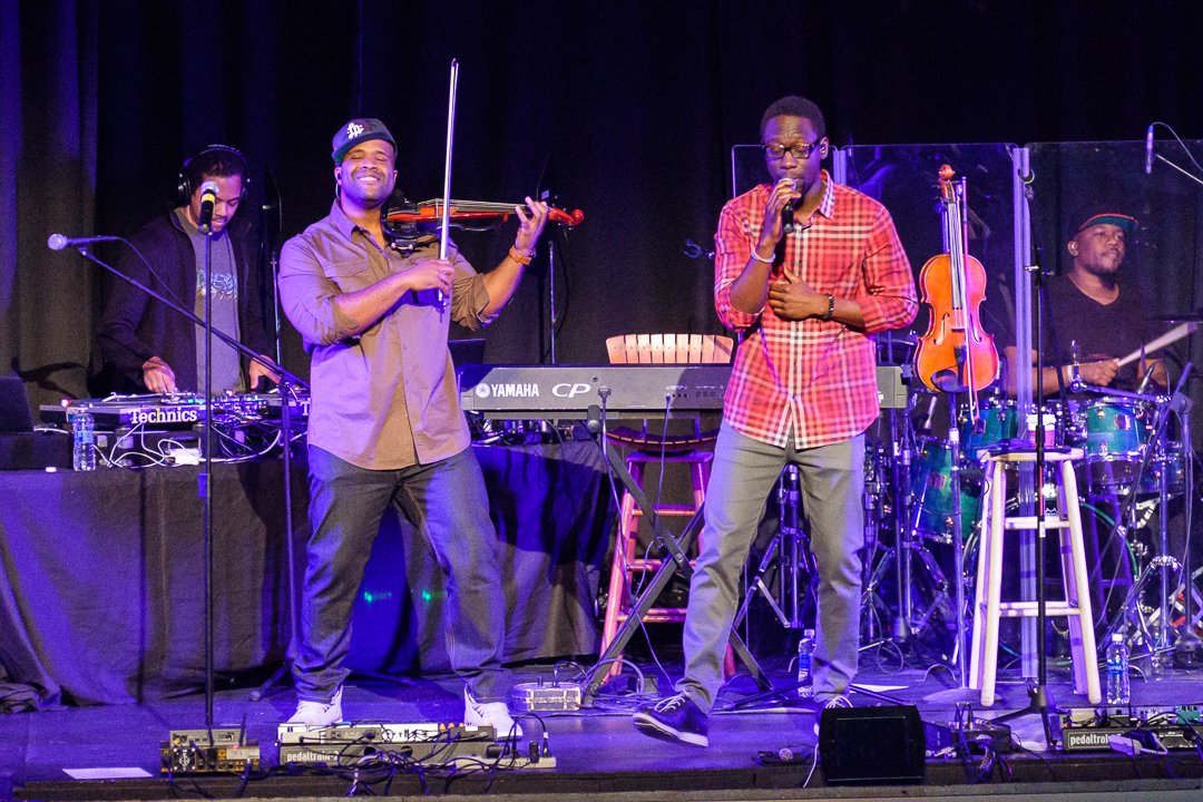 blackviolin16044141.jpg