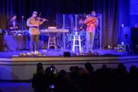 blackviolin16044211_small.jpg