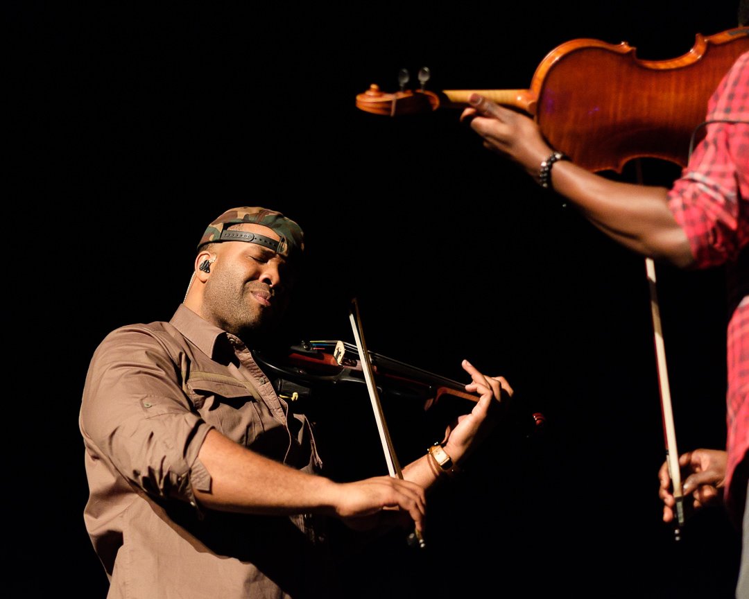 blackviolin16044303.jpg