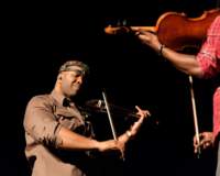 blackviolin16044303_small.jpg