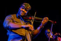 blackviolin16044306_small.jpg