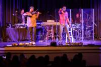 blackviolin16044376_small.jpg