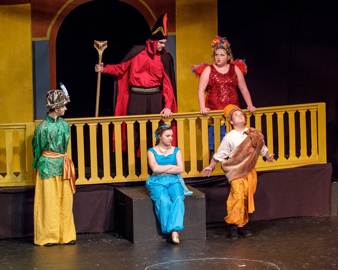 aladdin17060632.jpg