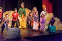 aladdin17060826_small.jpg