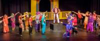 aladdin17060830_small.jpg