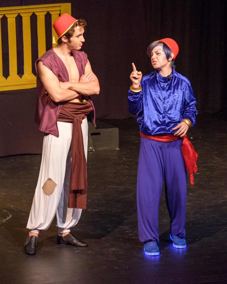 aladdin17060857.jpg