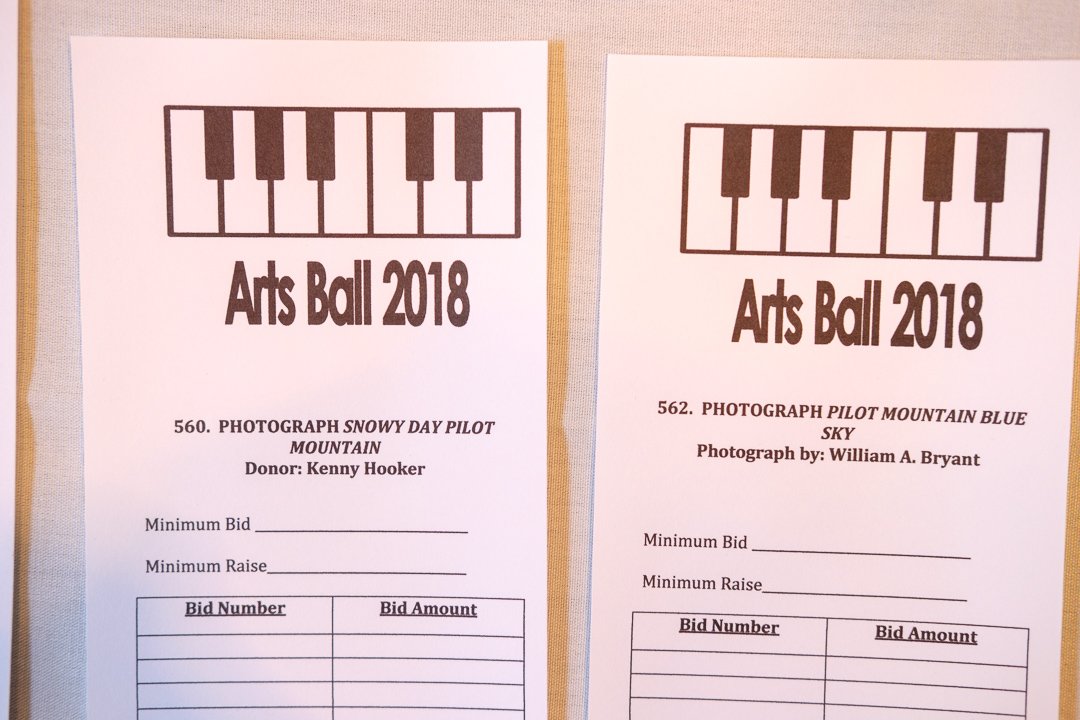 artsball18021607.jpg