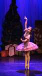 nutcracker211246_small.jpg