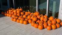 pumpkinworkshop23101_small.jpg