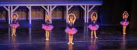 dancerecital230532_small.jpg