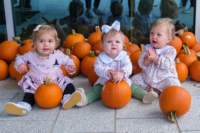 pumpkinworkshop231051_small.jpg