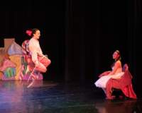 nutcracker241256_small.jpg