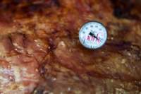 bbq06573_small.jpg