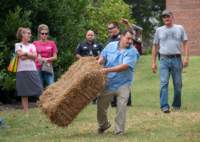 haybale19092_small.jpg