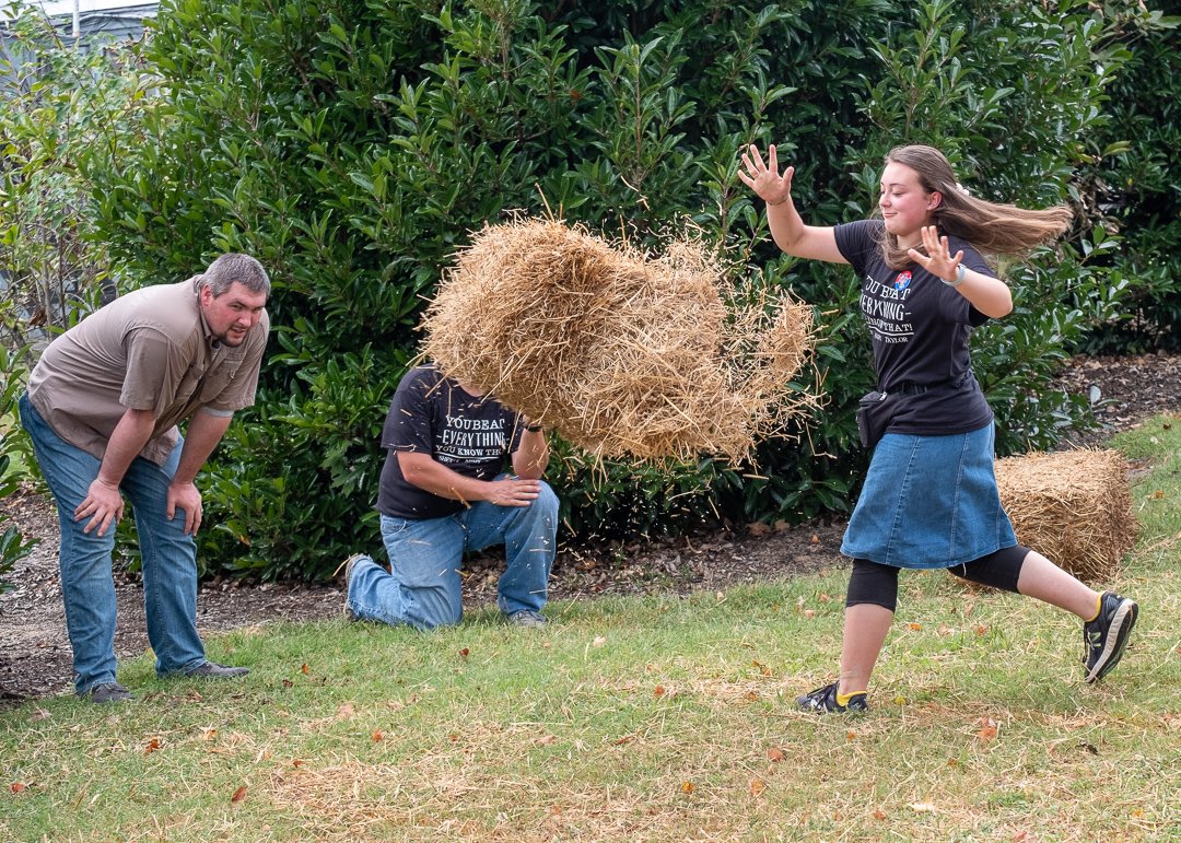 haybale19096.jpg