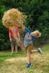 haybale20095_small.jpg