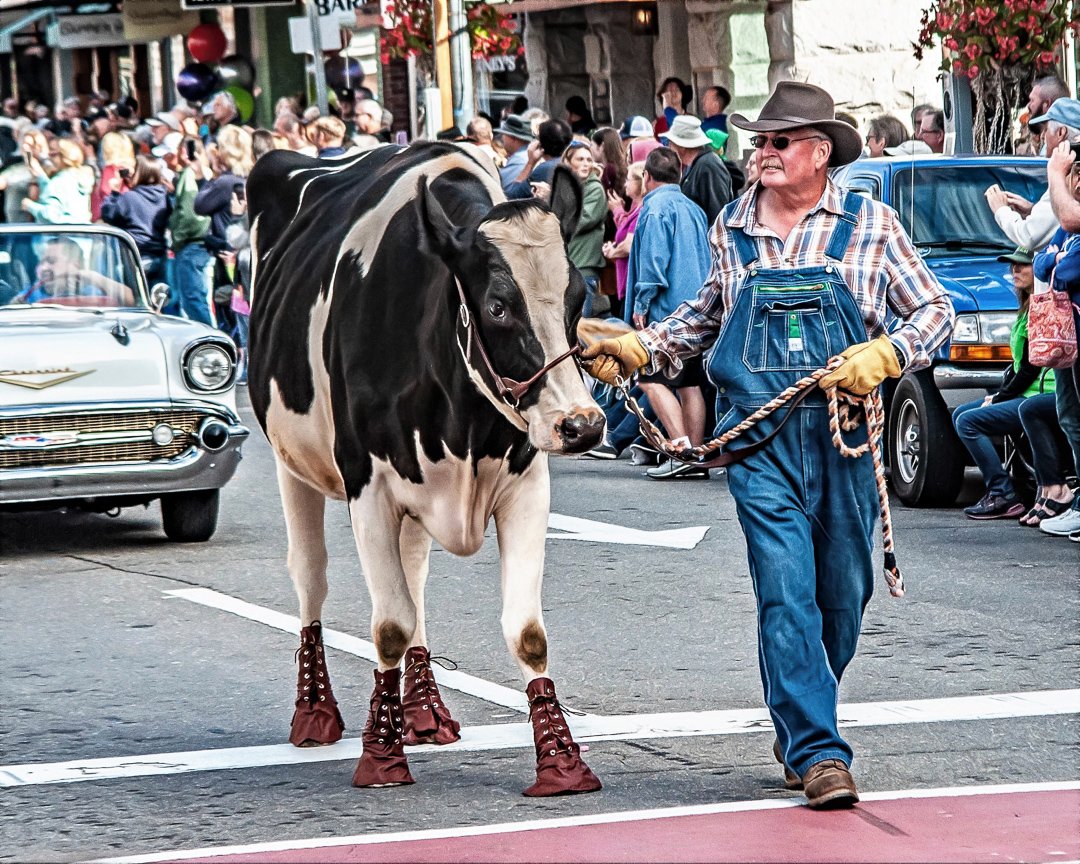 parade22091088.jpg