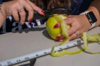 applepeeling24093301_small.jpg