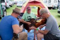 fiddlersconvention220659_small.jpg