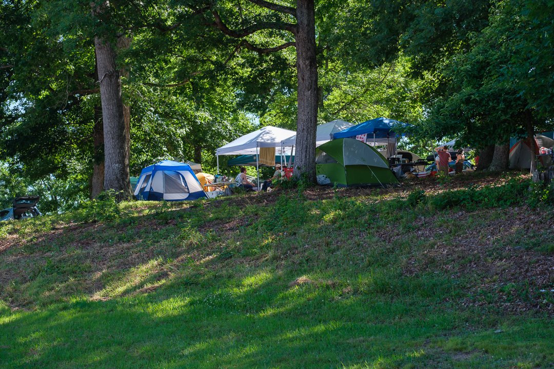 fiddlersconvention24061.jpg